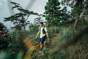 BIB: 
                            <button type="button" onclick="openModal(25259769)" class="btn btn-primary btn-sm float-right btn-popup" data-toggle="modal" data-target=".modal-high-quality">
                        <i class="fas fa-shopping-cart"></i> Add to Cart
                    </button>
                                            <button type="button" onclick="isThisMe(25259769, true)" class="btn btn-success btn-sm float-right btn-popup btn-isme hidden" data-toggle="tooltip" data-placement="bottom" title="นี่คือรูปของคุณใช่ไหม คลิกที่นี่เพื่อเอาเข้าอัลบั้ม">
                        <i class="fas fa-plus"></i> Add to album
                    </button>
                    <button type="button" onclick="isThisMe(25259769, false)" class="btn btn-warning btn-sm float-right btn-popup btn-isnotme hidden">
                        <i class="fas fa-ban"></i> Remove from album
                    </button>